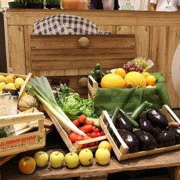 Articolo-Ambiente e sostenibilità